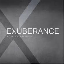 Parceiro EXUBERANCE MOVEIS PLANEJADOS LTDA